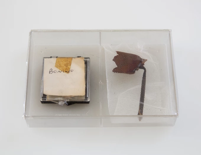 Beatrice Bonino Το αντίθετο του εύκολου καρπού