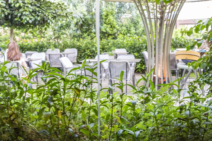 Το μπαρ εστιατόριο Fellows στη Ριζάρη 6