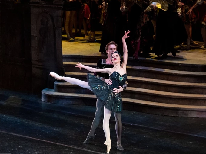 black swan