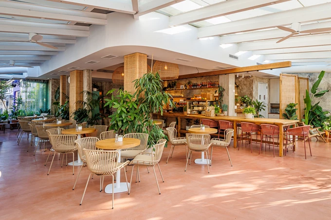 To Olivia’s Brother στο Χολαργό 1