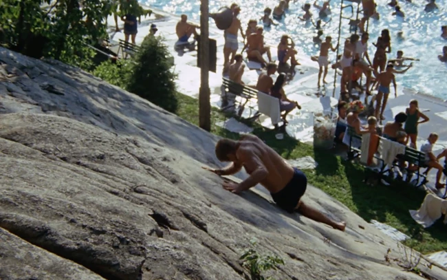 The Swimmer