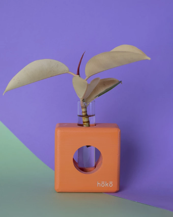 hoko