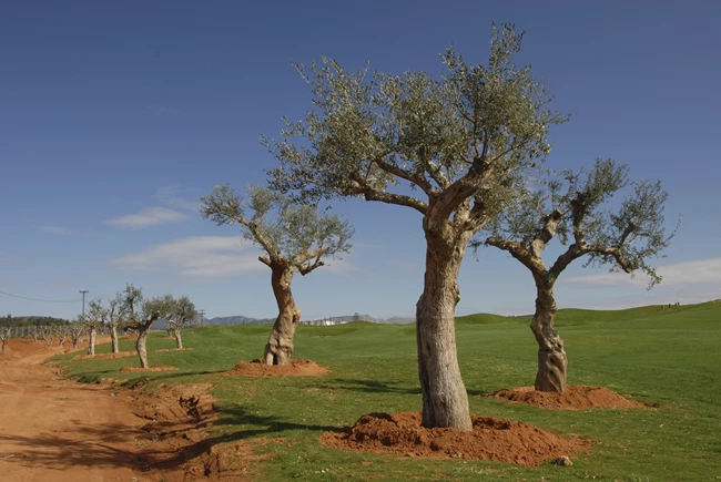 Costa Navarino, sustainability