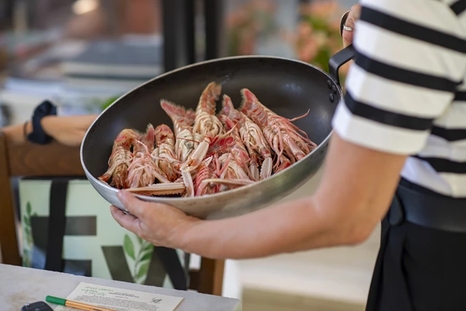 Λαγουδέρα 2