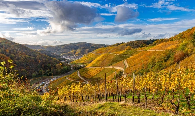 Κοιλάδα Ahr, Γερμανία