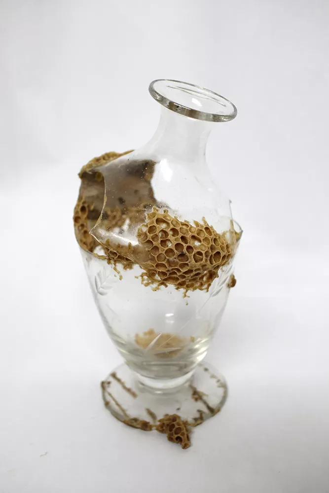 Αθηνά Κουμπαρούλη, &quot;Σπουδές στην επούλωση 1&quot;, 2024