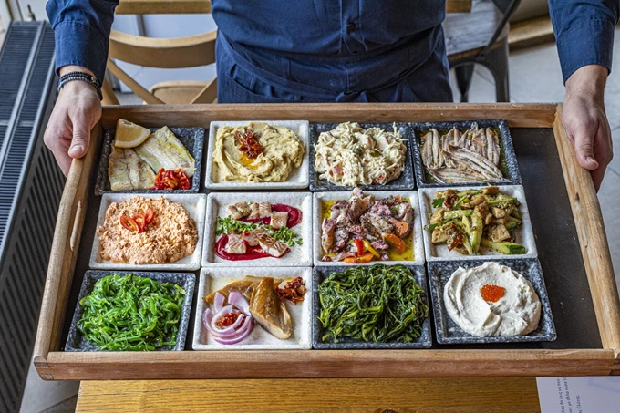 ΨΑΡΑΚΙΑ ΚΑΙ ΘΑΛΑΣΣΙΝΑ