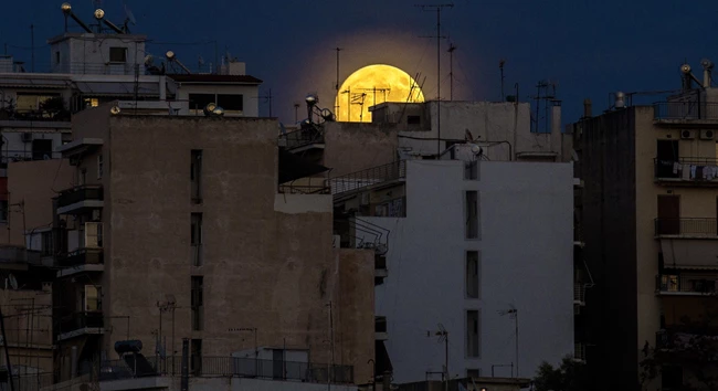 Χάρης Παπαδημητρακόπουλος Lockdowned