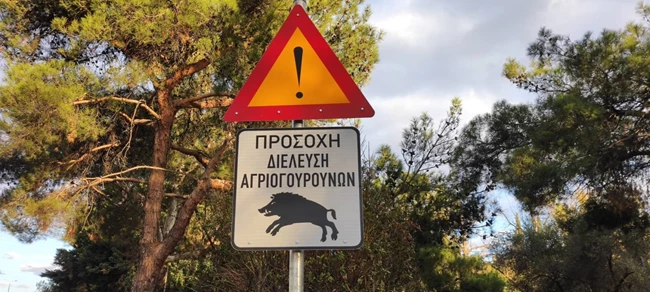 Άλσος Δαφνίου