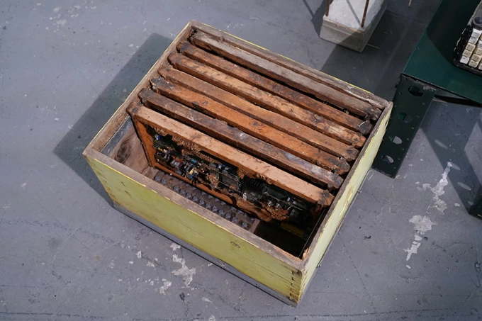 Nidus Ειρήνη Ταμπασούλη