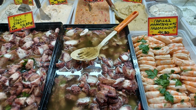 Η μικρή Βαρβάκειος της Καλλιθέας 8