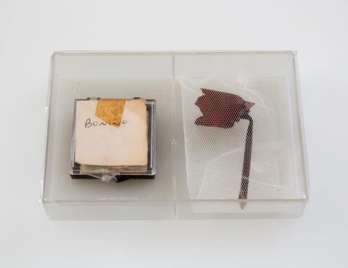 Τοσίτσα 3 Radio Athenes γκαλερί