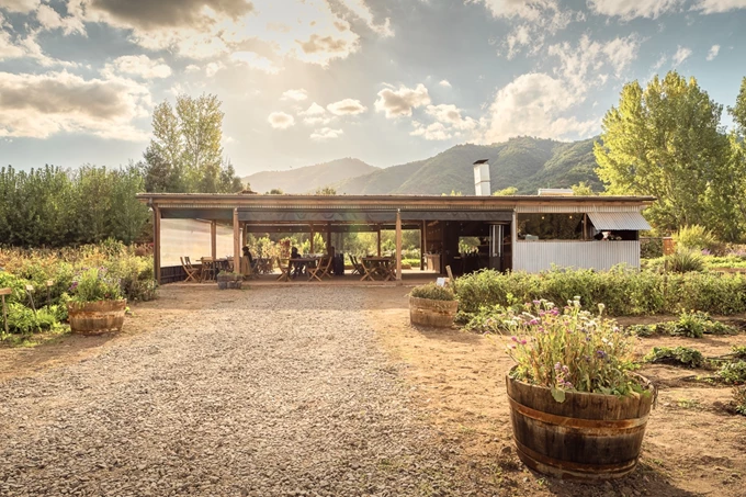 Το καλύτερο οινοποιείο στον κόσμο, το Vik στη Χιλή 12