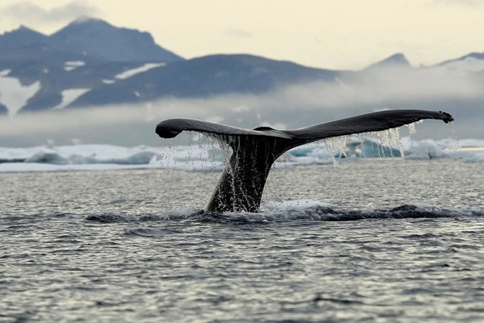 Γροιλανδία