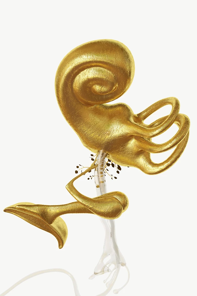 Phytobiosomes Costas Picadas