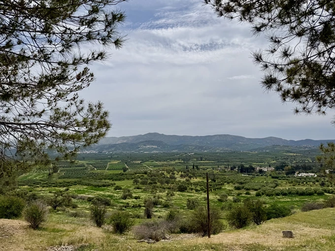 Ελαιώνες Κρήτη