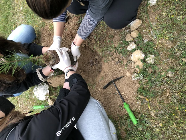 Δάσος Φυτεύουμε