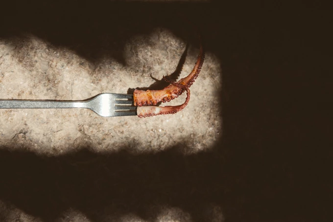 Πιάτα Alemagou 2