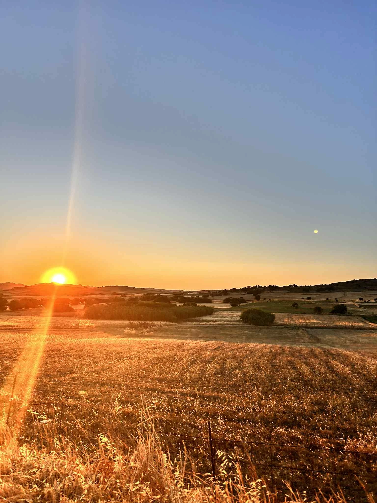 Λήμνος, η ομορφότερη από όλες τις στεριές σε 8 γαστρονομικές στάσεις