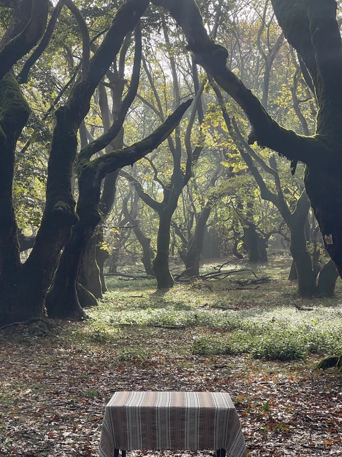 AROANIDES Mountain Hotels