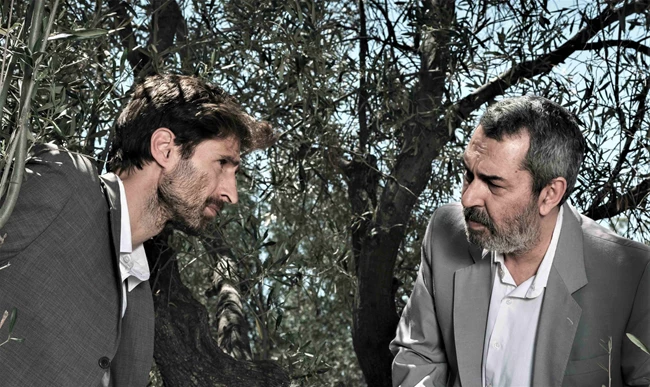 Οιδίπους επί Κολωνώ