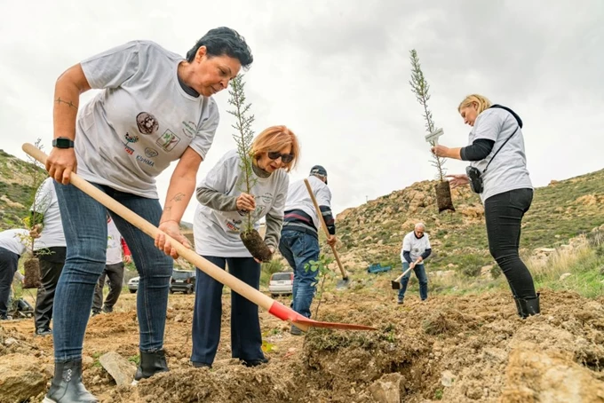 Δεντροφύτευση στη Σέριφο