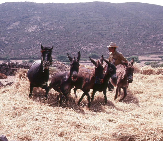 Robert McCabe ελληνικά νησιά