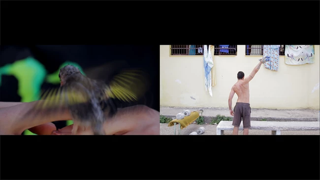 Re/member your House