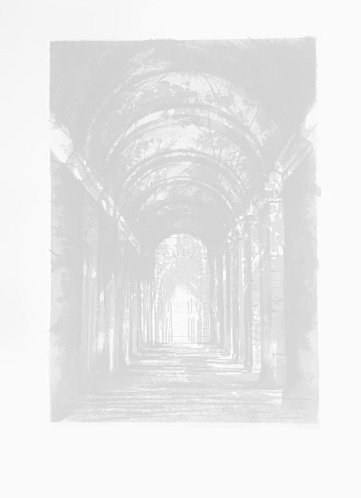 Arches P. San Carlo, Illusion