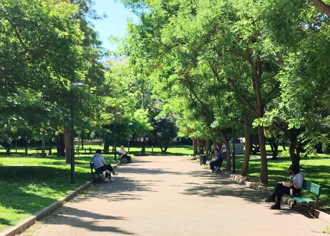 πράσινο στην Αθήνα