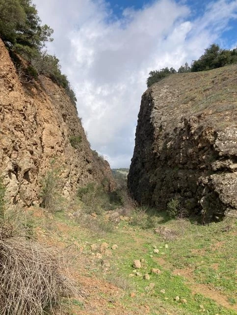 Σιδηροδρομικός Σταθμός Καρυάς Φθιώτιδας
