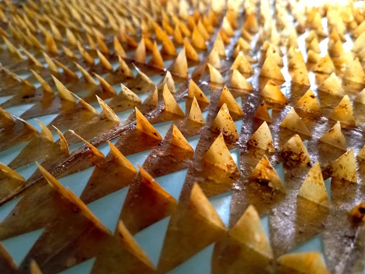 Λεπτομέρεια έργου. Παραχώρηση της Citronne Gallery