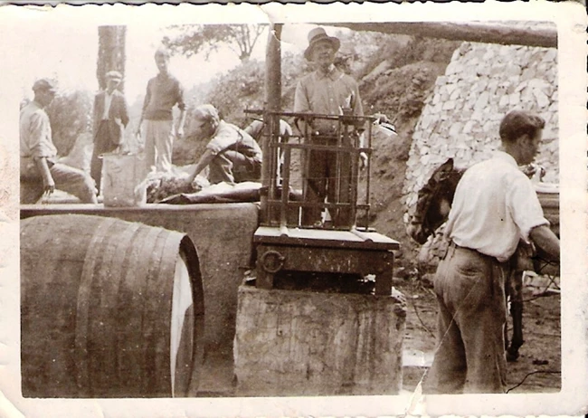 Η αμπελοοινική ιστορία της Σάμου