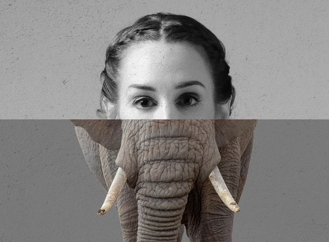 ’Ο Άνθρωπος ελέφαντας’, έτσι τον είπαν