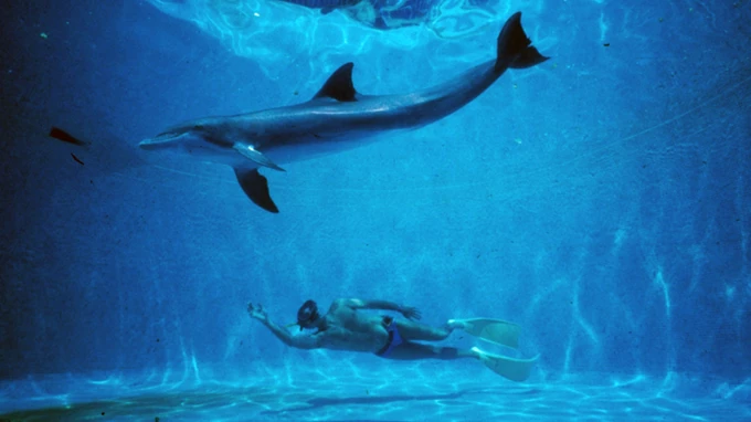 DOLPHIN MAN