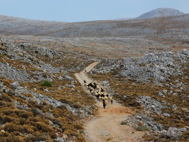 2η Διεπιστημονική Φιλοξενία στη Χίο