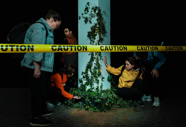 Βάκχαι, μία συλλογική αφήγηση