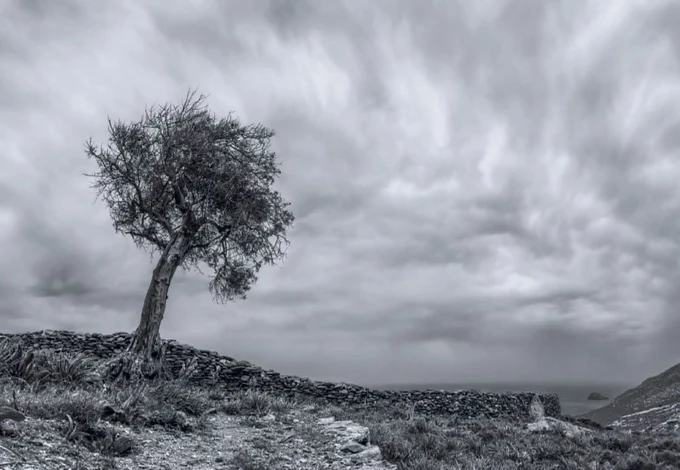 Γιώργος Νούνεσης