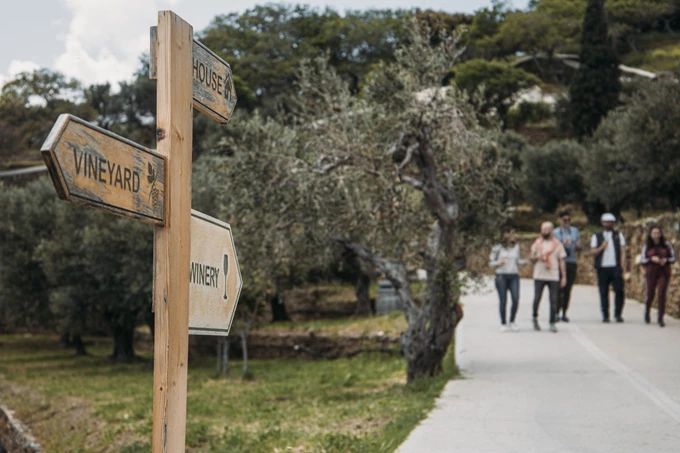 Kourtesis Wine Estate