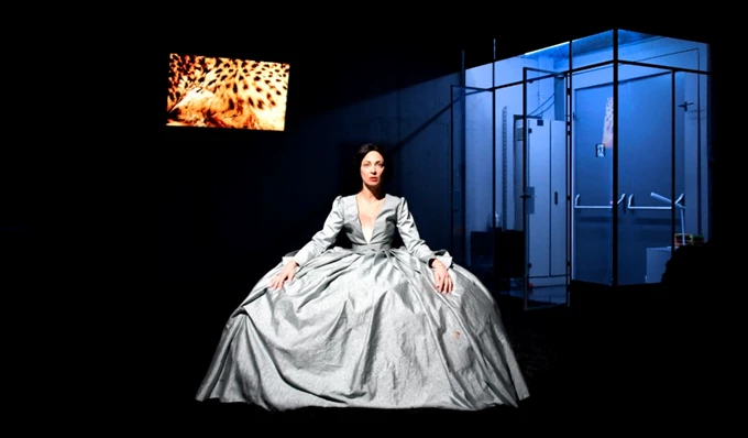 Amalia melancholia η βασίλισσα των φοινίκων