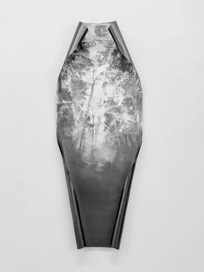 Η κρυμμένη εικόνα Δέσποινα Φλέσσα