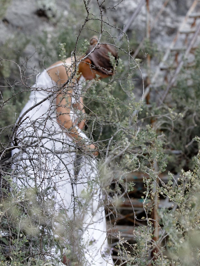 Που έδυ μου το κάλλος