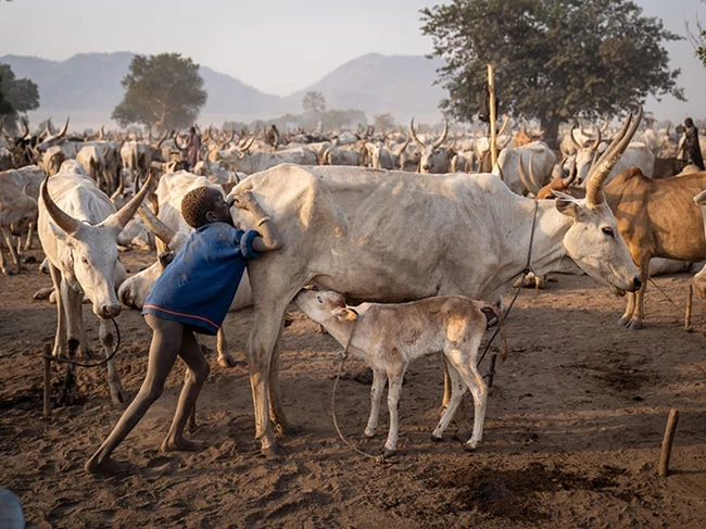 Travel, Romain MIOT # France # Life Breath, South Sudan