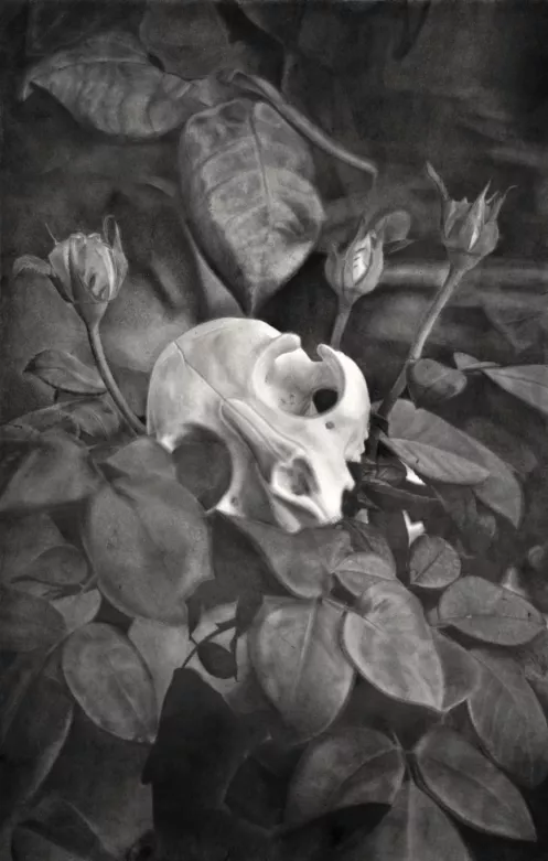 Στένια Παρασκευά, What remains ΙΙ, 2023, γραφίτης σε χαρτί, 120χ80 εκ.