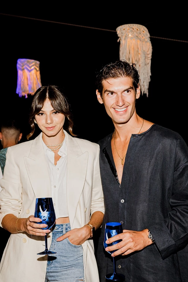 Grey Goose βότκα πάρτι 3