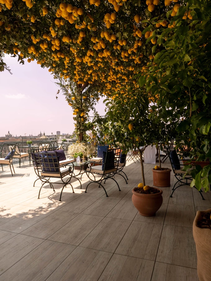 Barilla Limonaia Urbana
