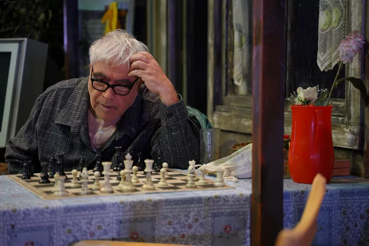 Η αυλή των θαυμάτων - Το μιούζικαλ