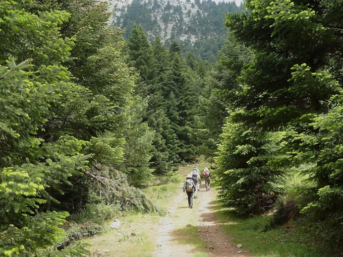 Πεζοπορία στον Πάρνωνα