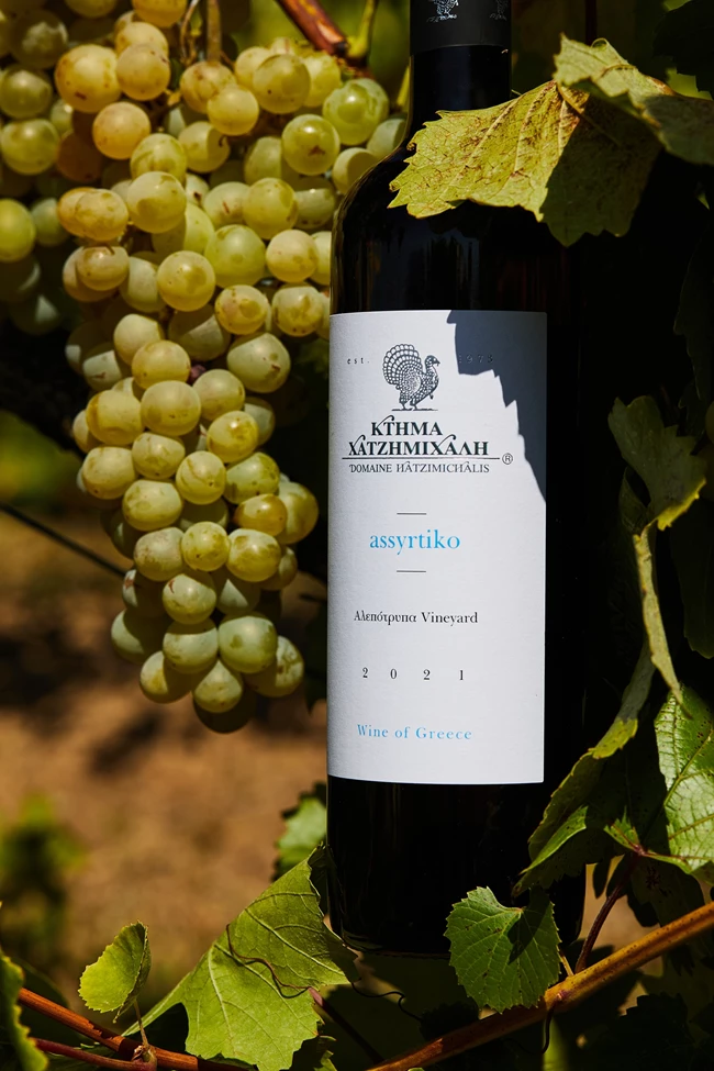 Κτήμα Χατζημιχάλη ασύρτικο