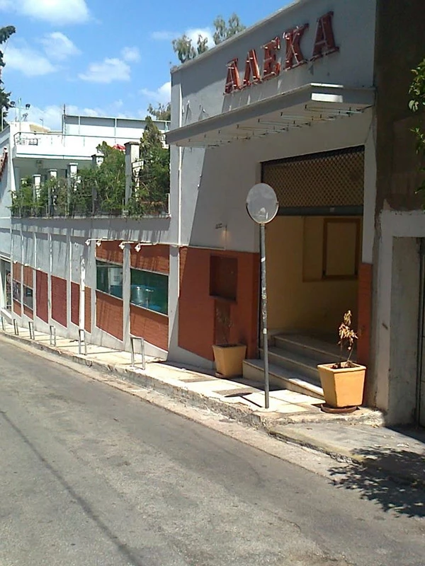 αλέκα ζωγράφου